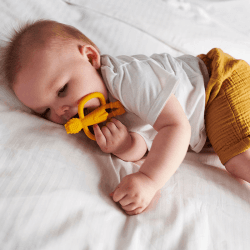 Image showing the Animal Teething Toy, Ludo Lion product.