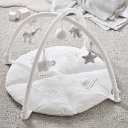 Image showing the Noahs Ark Activity Gym, White product.