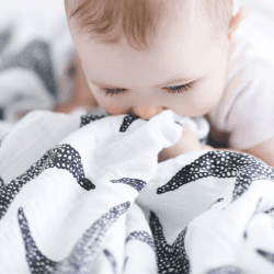 Image showing the Starfish XL Sensory Organic Cotton Muslin Square, 120 x 120cm, Black & White product.