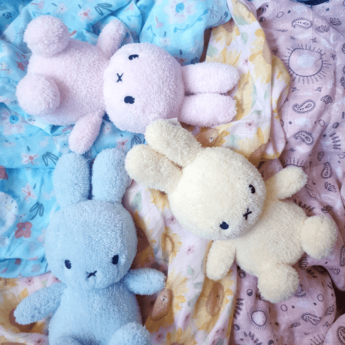 miffy-1