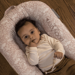 Image showing the Deluxe+ Dock Printed Baby Nest, Brer Rabbit product.
