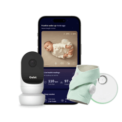 Image showing the Dream Duo™ Monitor & Camera, Mint product.