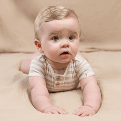 Image showing the Baby Bunny Stripes Short Sleeve Bodysuit, 0 - 1 Months, Sand product.