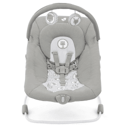 Image showing the Wish Baby Bouncer, Portrait product.