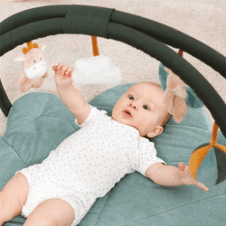 Image showing the Luna & Axel Baby Gym, Green product.