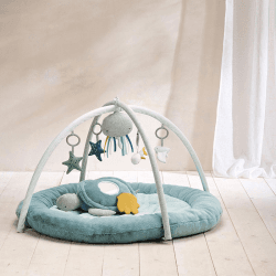 Image showing the Welcome to the World Baby Gym and Activity Playmat, Blue product.
