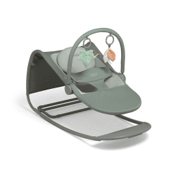 Image showing the Tempo 2 in 1 Baby Bouncer and Rocker, Ivy product.