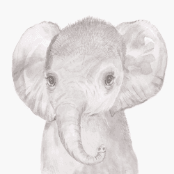 Image showing the Welcome To The World Elephant Print, Grey Elephant product.