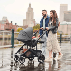 Image showing the CRUZ V2 Pushchair, Greyson product.