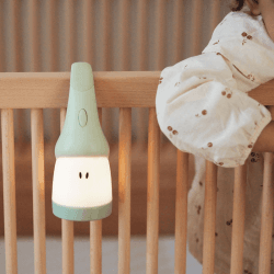 Image showing the Pixie Torch 2 in 1 Portable Night Light, Green product.
