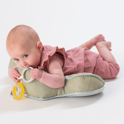 Image showing the Savannah Adventures Tummy Time Pillow, Multi product.