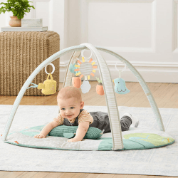 Image showing the Baby Activity Gym, Garden Oasis product.