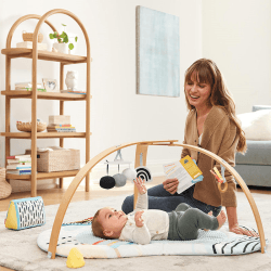 Image showing the Baby Play Gym, Discoverosity product.