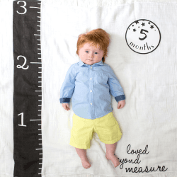 Image showing the Milestone Muslin Blanket & Cards Gift Set, Loved Beyond Measure product.