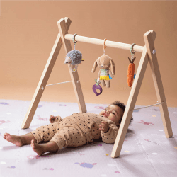 Image showing the Activity Toys Gift Set product.