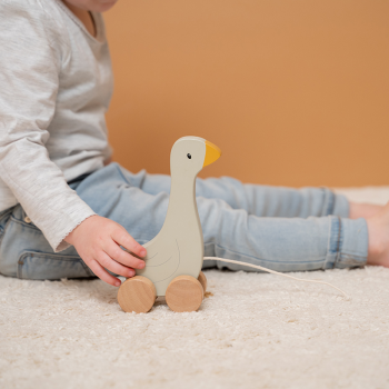 Image showing the Little Goose Wooden Pull Along Toy, Multi product.