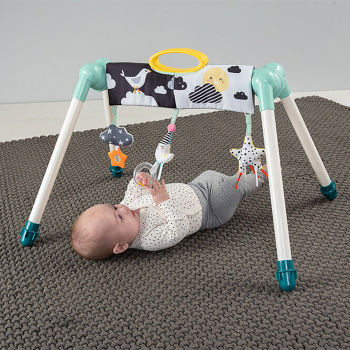 Image showing the Mini Moon Take to Play Baby Gym Arch, Multi product.