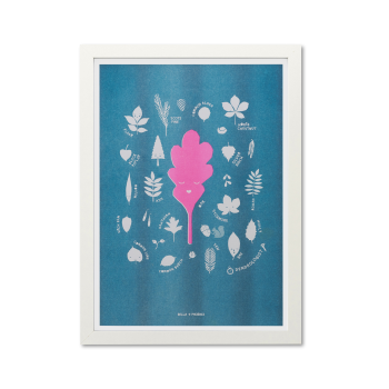 Image showing the Leaf Riso Print, A3, Blue product.