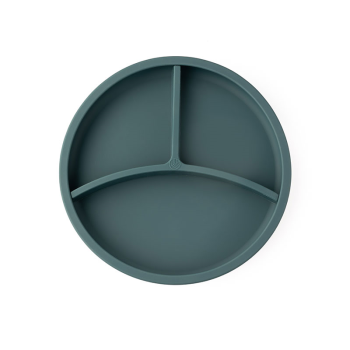 Image showing the Silicone Divider Plate, Teal product.