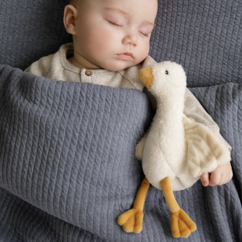 Image showing the Little Goose Small Soft Toy, Multi product.