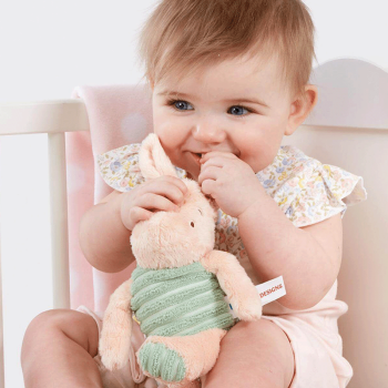 Image showing the Disney Piglet Soft Toy, Multi product.