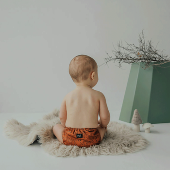 Image showing the Baby Bear Reusable Nappy, Brown product.