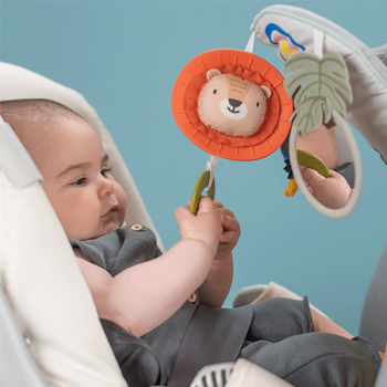 Image showing the Savannah Adventures Play & Kick Car Seat Activity Toy, Multi product.