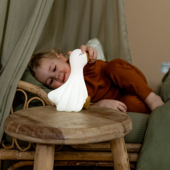 Image showing the Little Goose Night Light, White product.