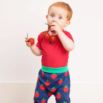 Image showing the Basic Organic Cotton Short Sleeved Bodysuit, 0 - 3 Months, Red product.