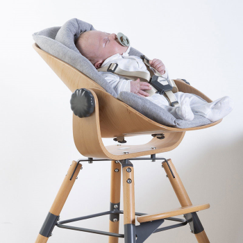 Image showing the Evolu/ONE80° High Chair Newborn Seat, Anthracite product.