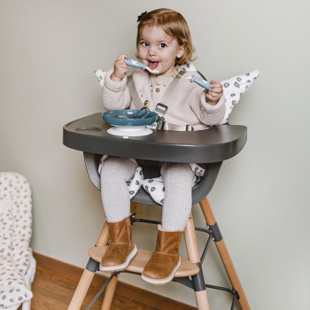 Image showing the Evolu 2 High Chair, Anthracite product.