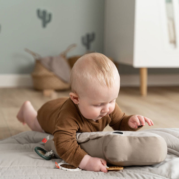 Image showing the Croco Tummy Time Activity Toy, Sand product.
