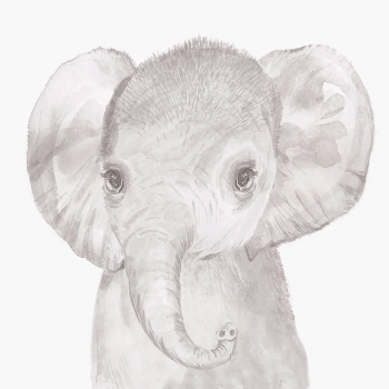 Image showing the Welcome To The World Elephant Print, Grey Elephant product.
